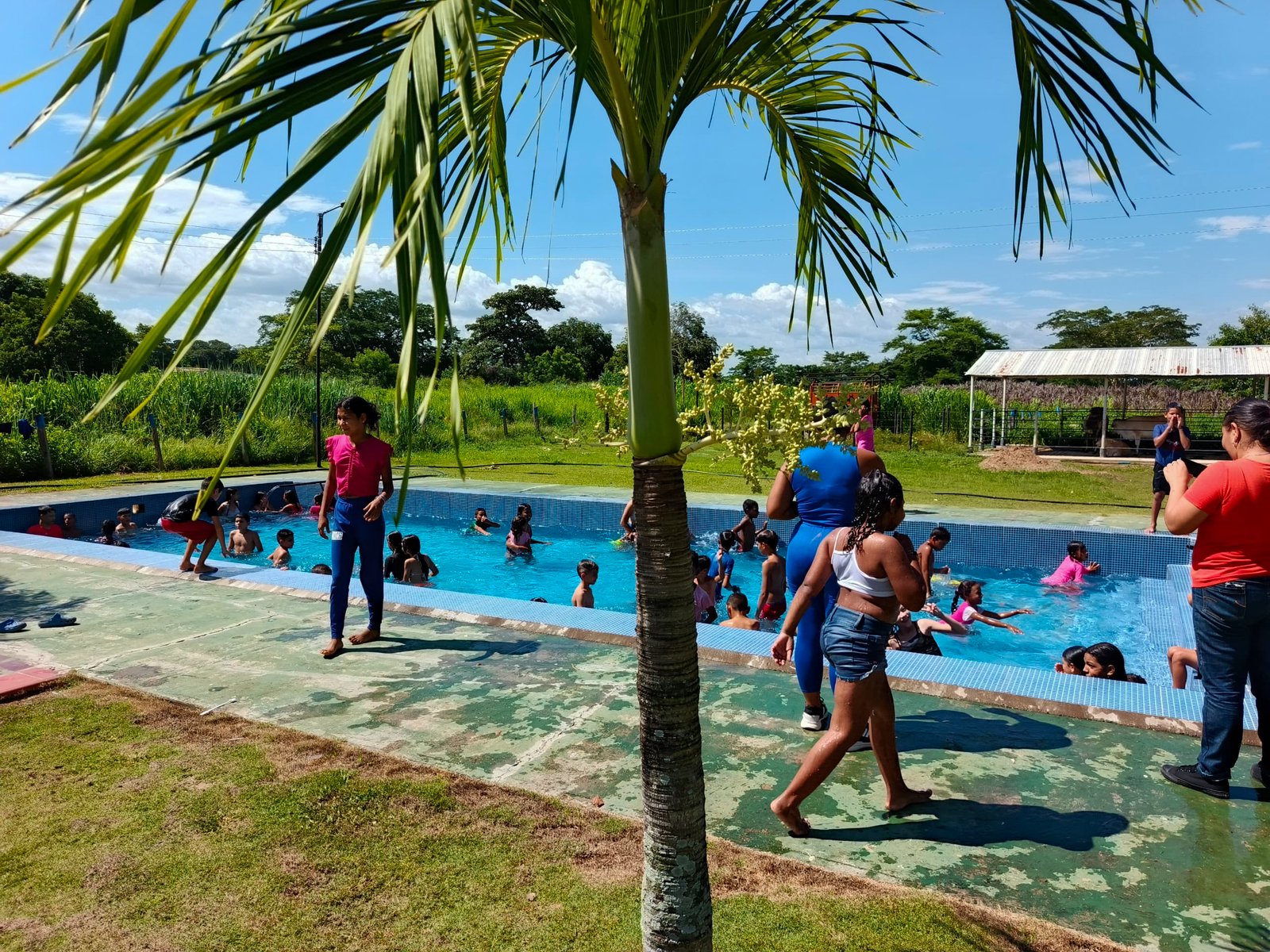 Planting Hope: Community & Family Wellness Day