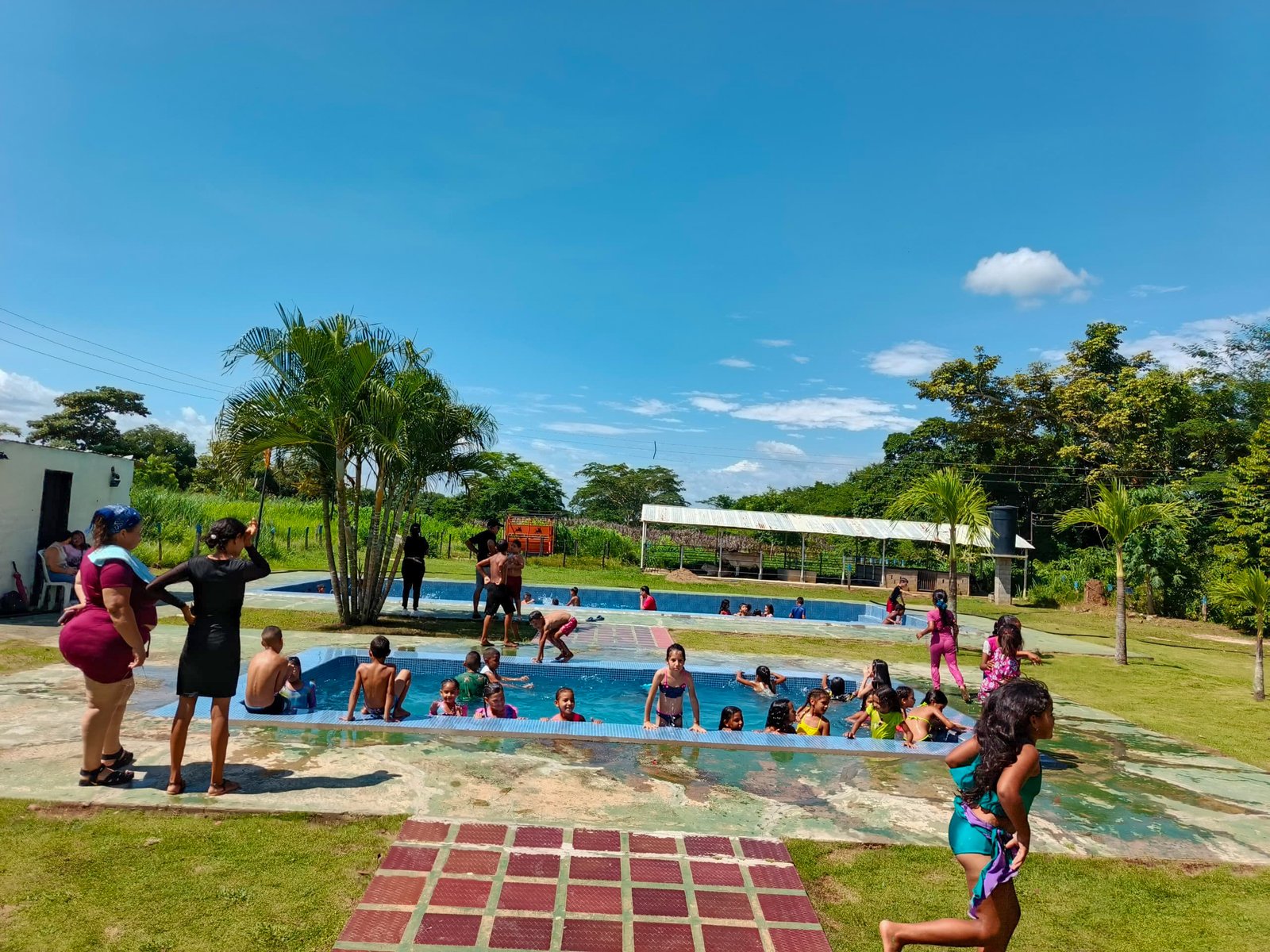 Planting Hope: Community & Family Wellness Day
