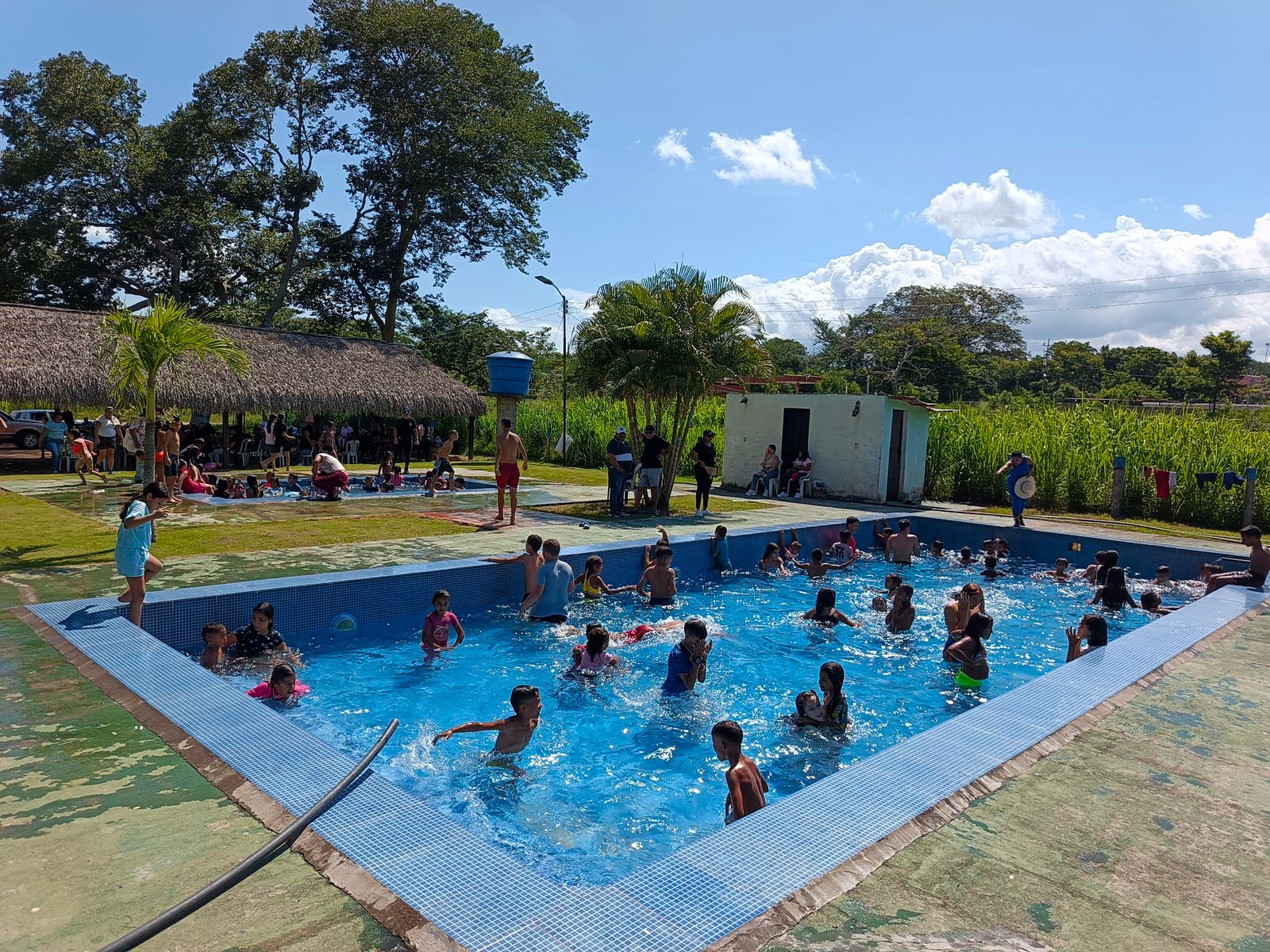 Planting Hope: Community & Family Wellness Day