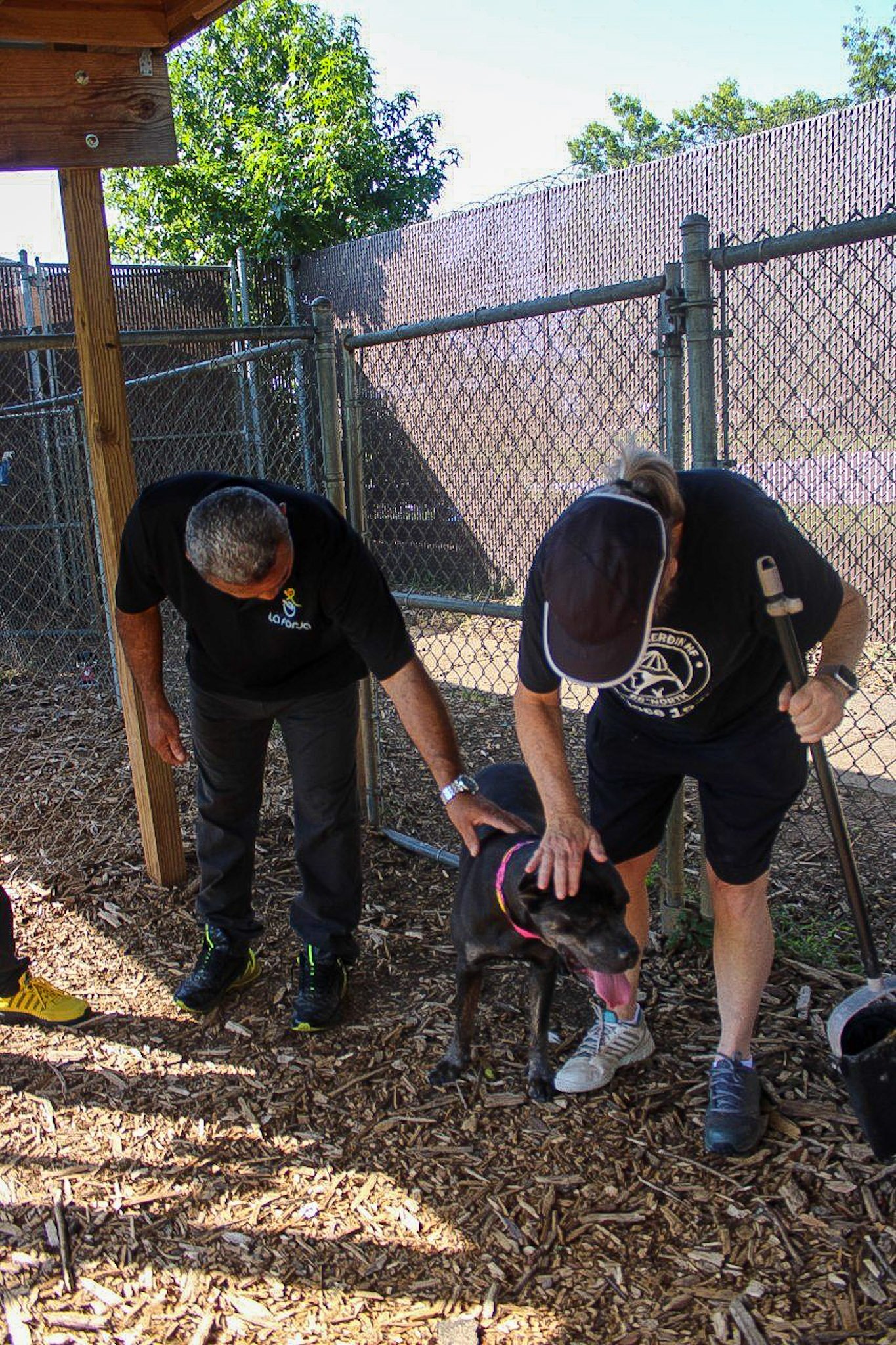 Paws of Hope: Solidarity Outreach at Hall County Animal Shelter