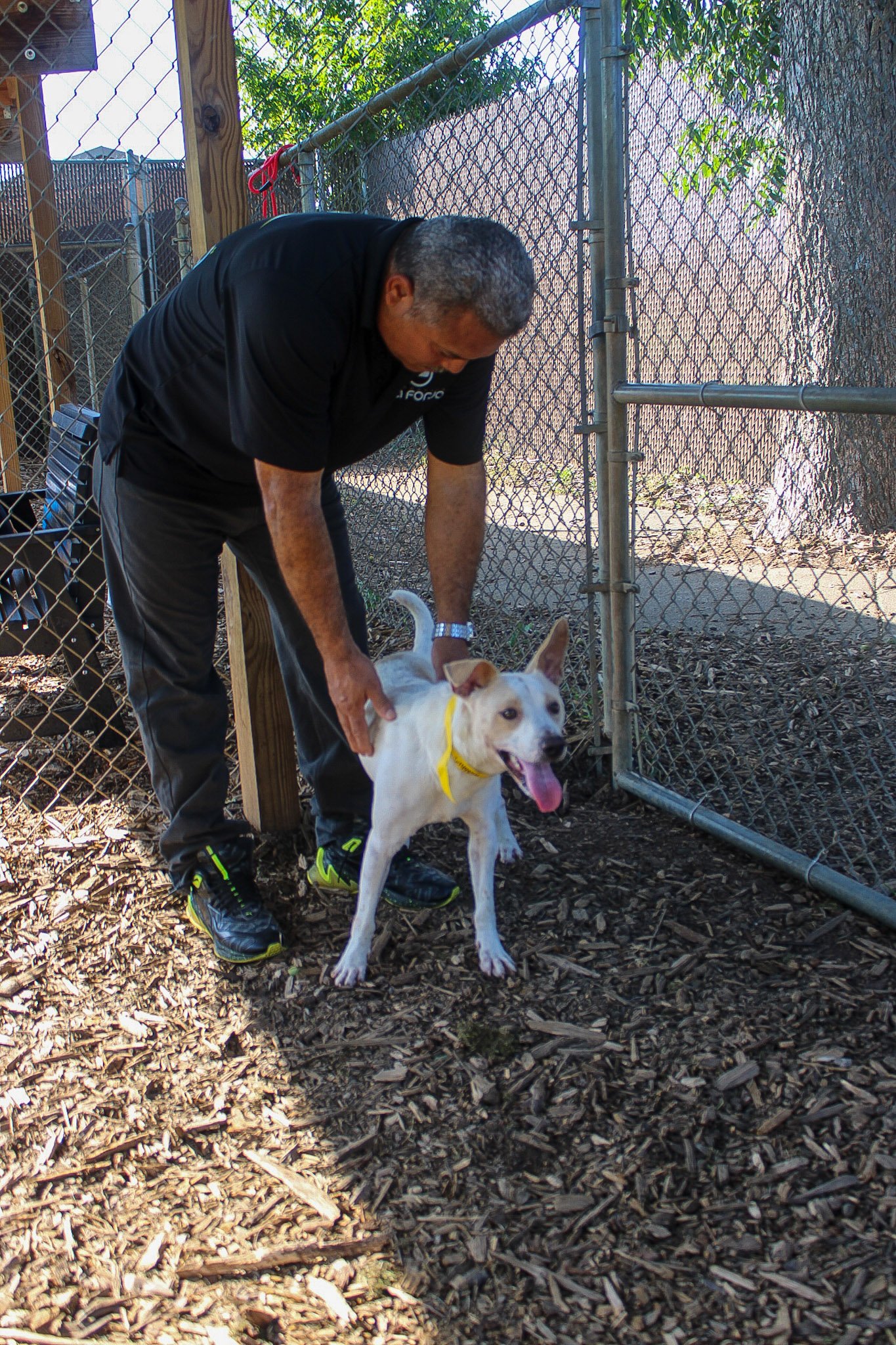 Paws of Hope: Solidarity Outreach at Hall County Animal Shelter