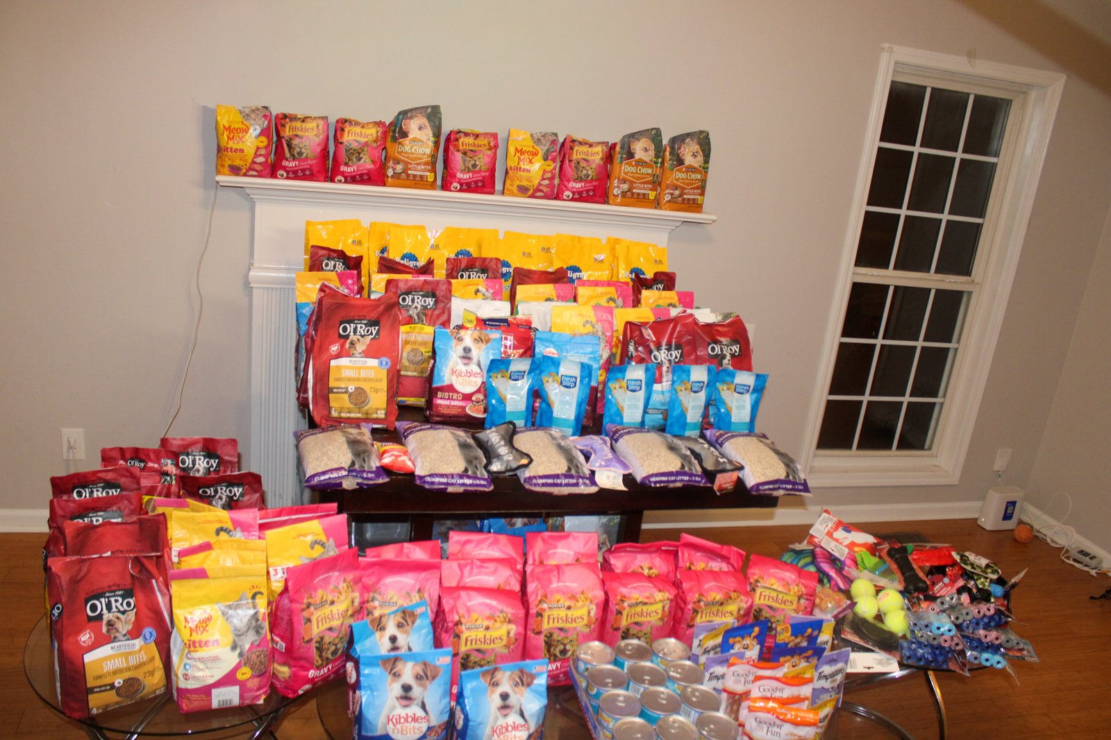 Paws of Hope: Solidarity Outreach at Hall County Animal Shelter