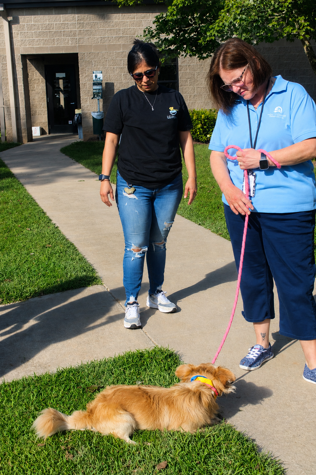 Paws of Hope: Solidarity Outreach at Hall County Animal Shelter